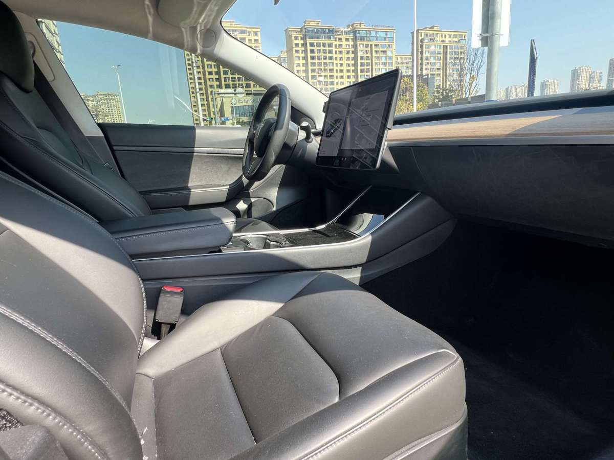 特斯拉 Model 3  2020款 標(biāo)準(zhǔn)續(xù)航后驅(qū)升級(jí)版圖片