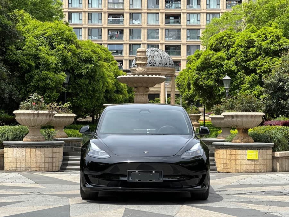 特斯拉 Model 3  2021款 改款 標(biāo)準(zhǔn)續(xù)航后驅(qū)升級(jí)版圖片