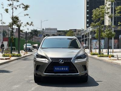 2021年1月 雷克薩斯 NX 200 前驅(qū) 鋒行版 國VI圖片