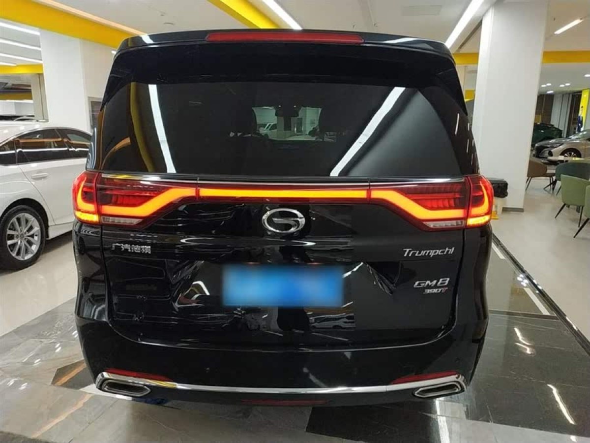 廣汽傳祺 M8  2020款 領(lǐng)航款 390T 尊貴版圖片