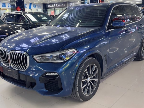 宝马 宝马X5  2019款 xDrive40i M运动套装