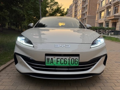 2025年4月 比亞迪 海豹06 DM-i DM-i 120KM尊榮型圖片