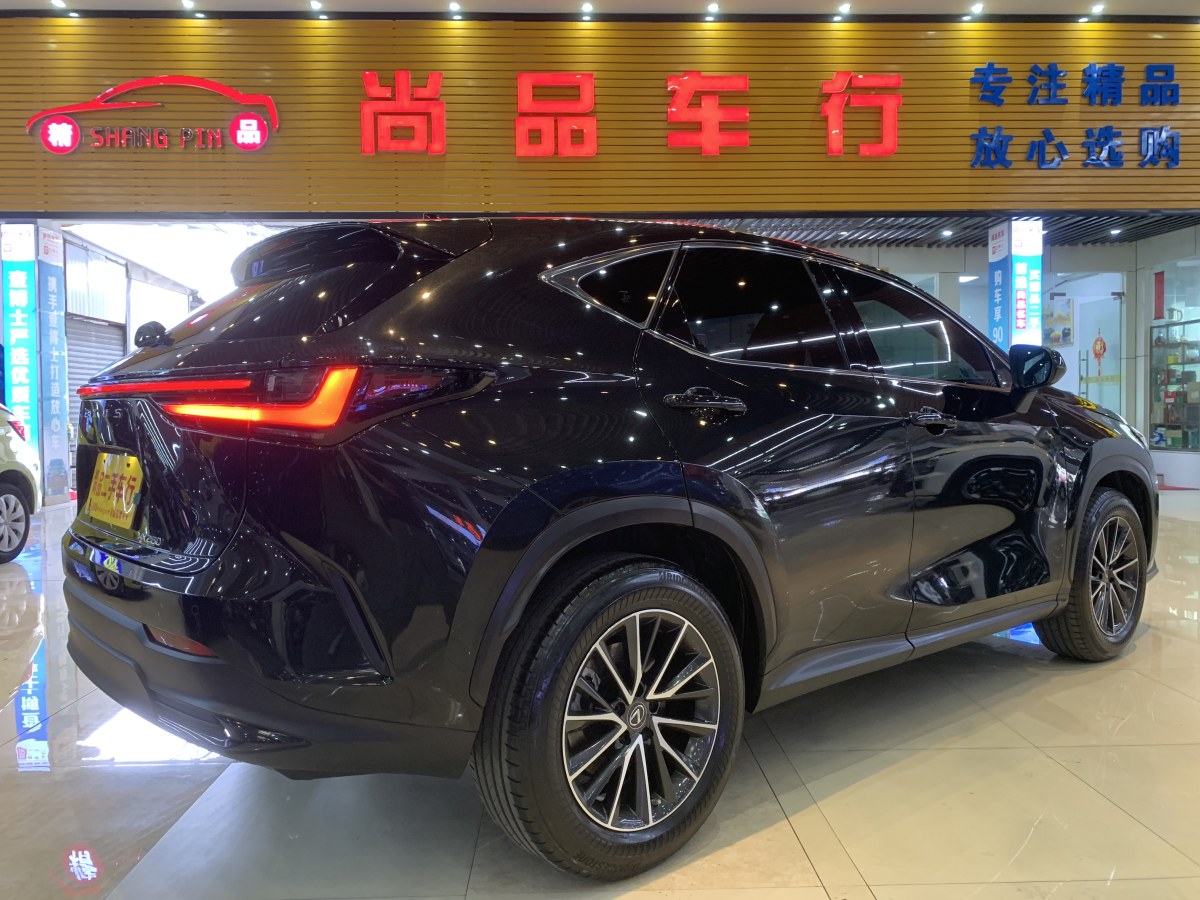 雷克薩斯 NX  2022款 260 前驅(qū) 創(chuàng)馳版圖片