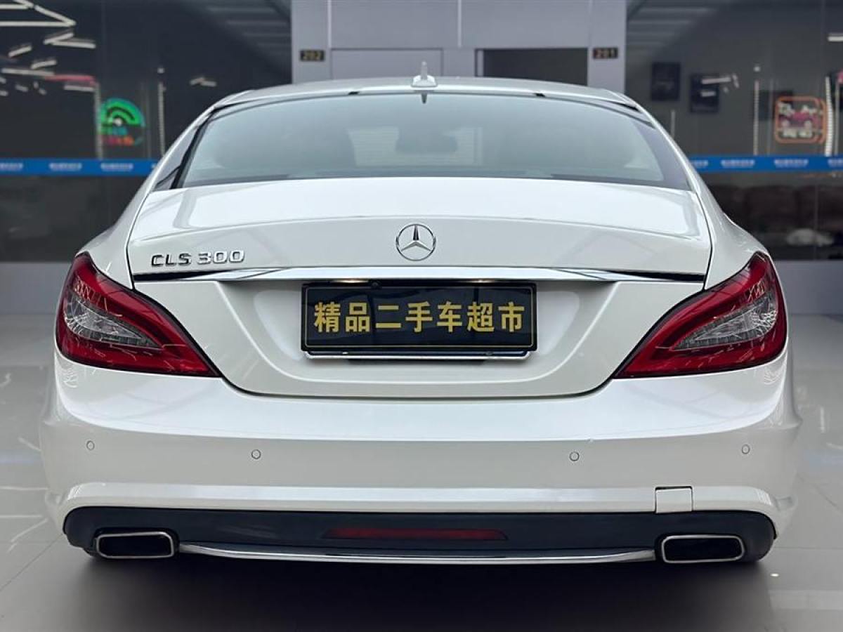 奔馳 奔馳CLS級  2012款 CLS 300 CGI圖片