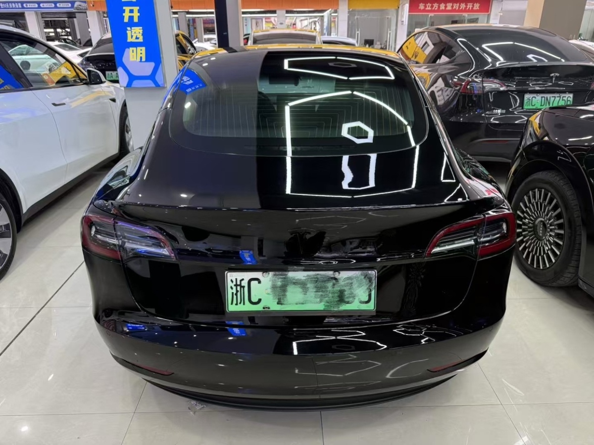 特斯拉 Model 3  2020款 標準續(xù)航后驅升級版圖片