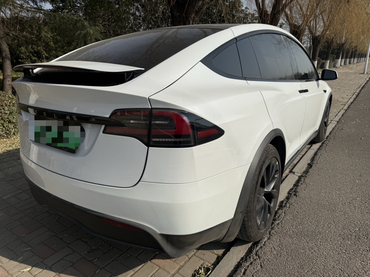 特斯拉 Model X  2021款 長(zhǎng)續(xù)航升級(jí)版圖片