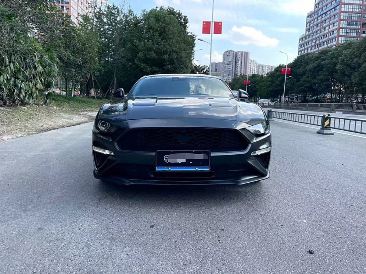 福特 Mustang  2019款 2.3L EcoBoost圖片