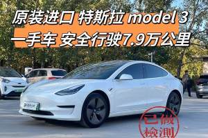 Model 3 特斯拉 标准续航后驱升级版