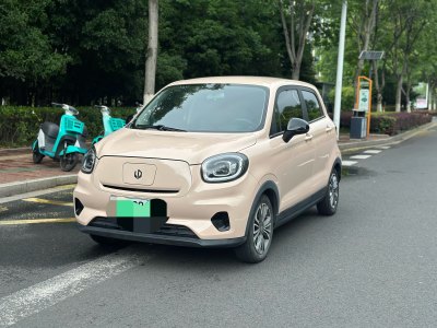 2021年7月 零跑 零跑T03 400微糖版圖片