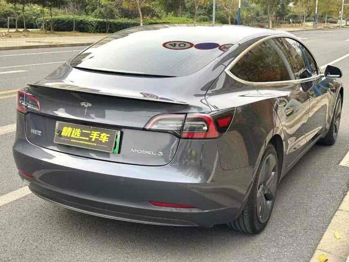 特斯拉 Model 3  2019款 標(biāo)準(zhǔn)續(xù)航后驅(qū)升級(jí)版圖片