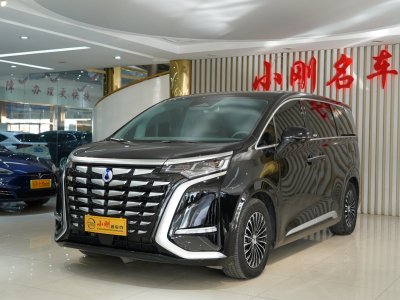 2023年8月 腾势 腾势D9 DM-i 1040 尊贵型图片