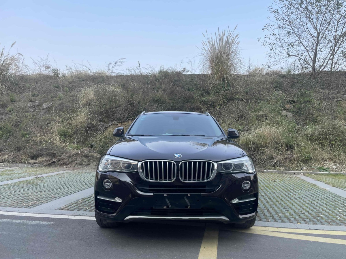 寶馬 寶馬X4  2014款 xDrive28i 領(lǐng)先型圖片