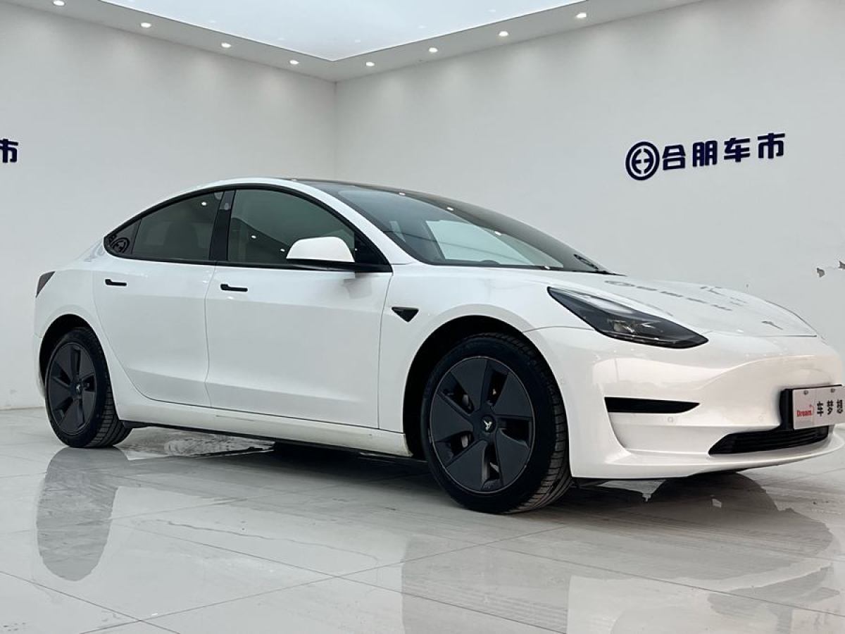 特斯拉 Model 3  2021款 改款 標(biāo)準(zhǔn)續(xù)航后驅(qū)升級版圖片