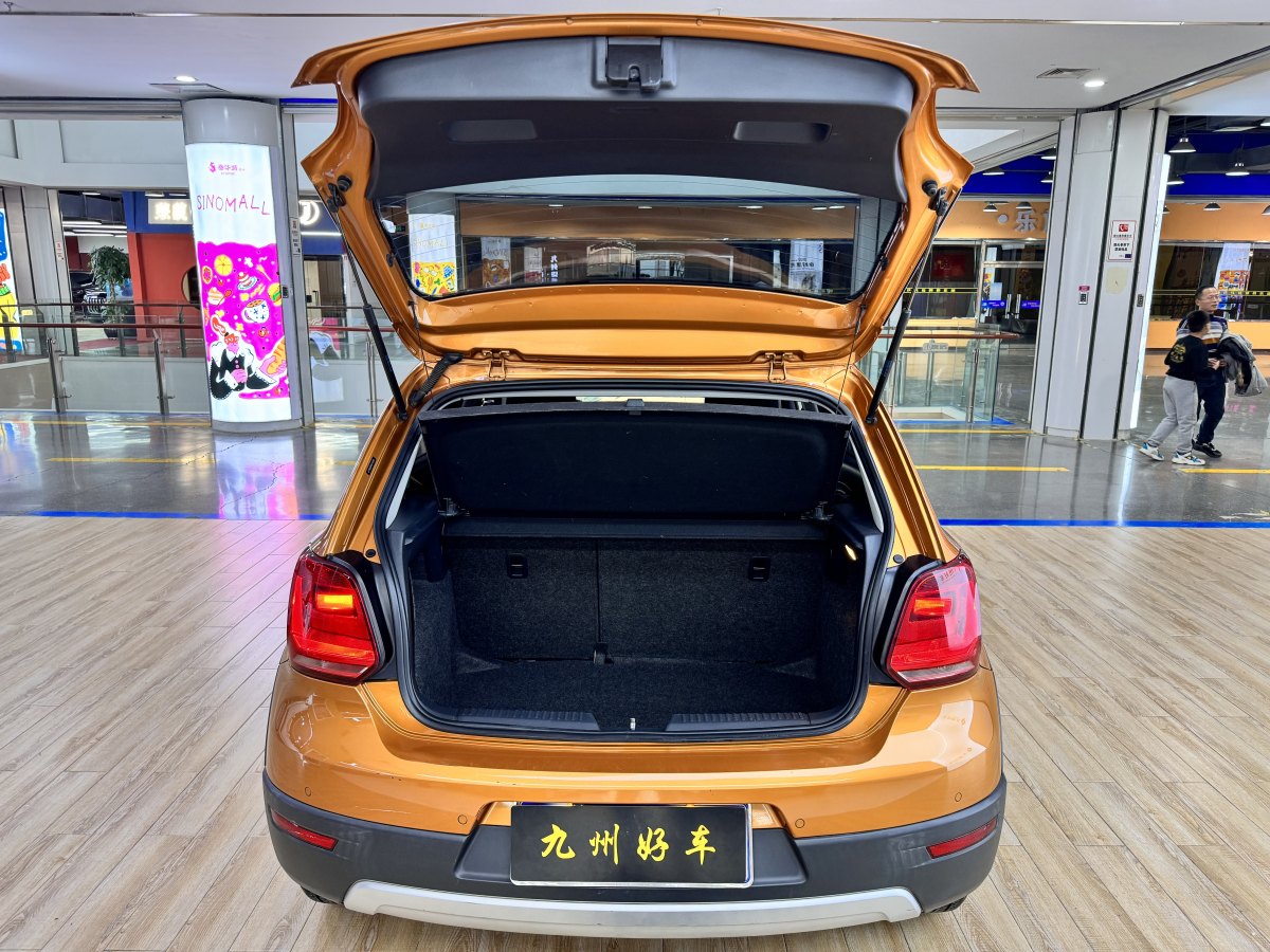 大眾 Polo  2014款 1.6L Cross Polo 自動圖片