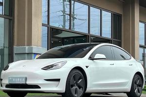 Model 3 特斯拉 改款 后轮驱动版