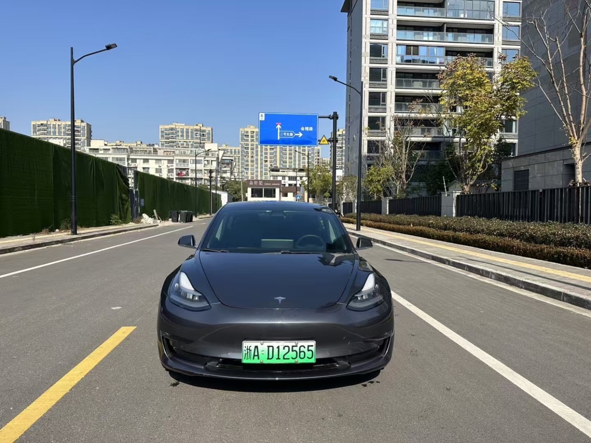 特斯拉 Model 3  2019款 Performance高性能全輪驅動版圖片