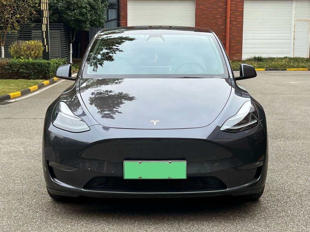 特斯拉 Model Y  2021款 長(zhǎng)續(xù)航全輪驅(qū)動(dòng)版 3D7圖片