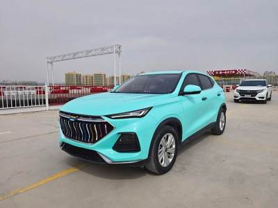 2021年6月 長(zhǎng)安歐尚 長(zhǎng)安歐尚X5 1.6L CVT尊貴型圖片