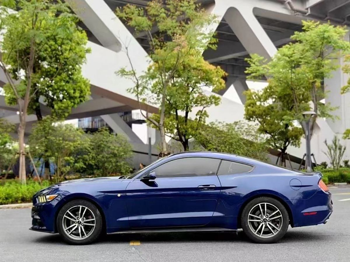 福特 Mustang  2015款 2.3T 性能版圖片