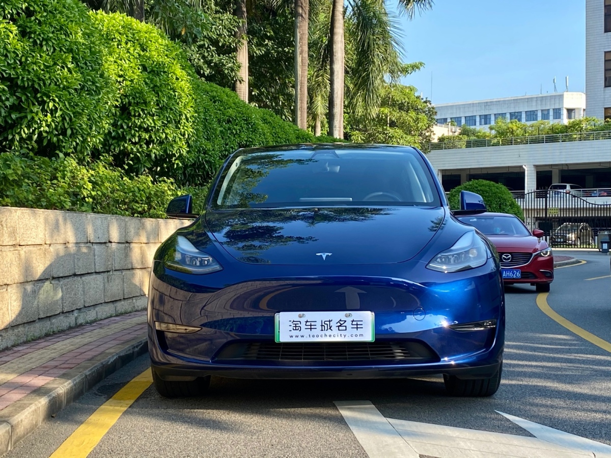 特斯拉 model 3 2021款 改款 長續航全輪驅動版圖片