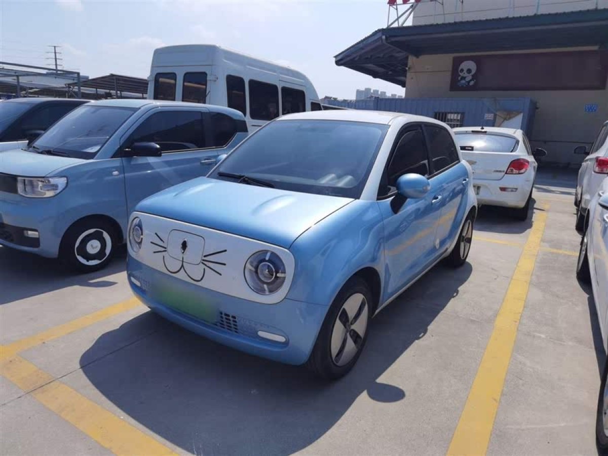 歐拉 歐拉黑貓  2022款 301km 基礎(chǔ)型圖片