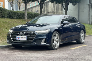 奥迪A7L 奥迪 45TFSI quattro S-line 见远型 流晶套装