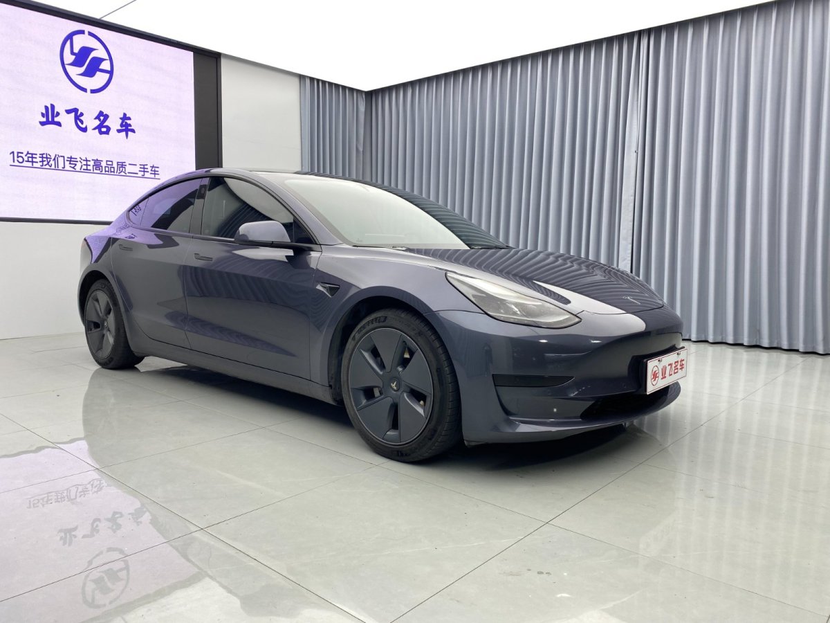 特斯拉 Model 3  2019款 標(biāo)準(zhǔn)續(xù)航后驅(qū)升級版圖片