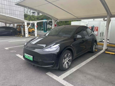 特斯拉 Model 3 長(zhǎng)續(xù)航全輪驅(qū)動(dòng)版 3D7圖片