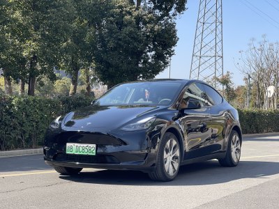 2021年5月 特斯拉 Model 3 改款 Performance高性能全輪驅(qū)動(dòng)版圖片