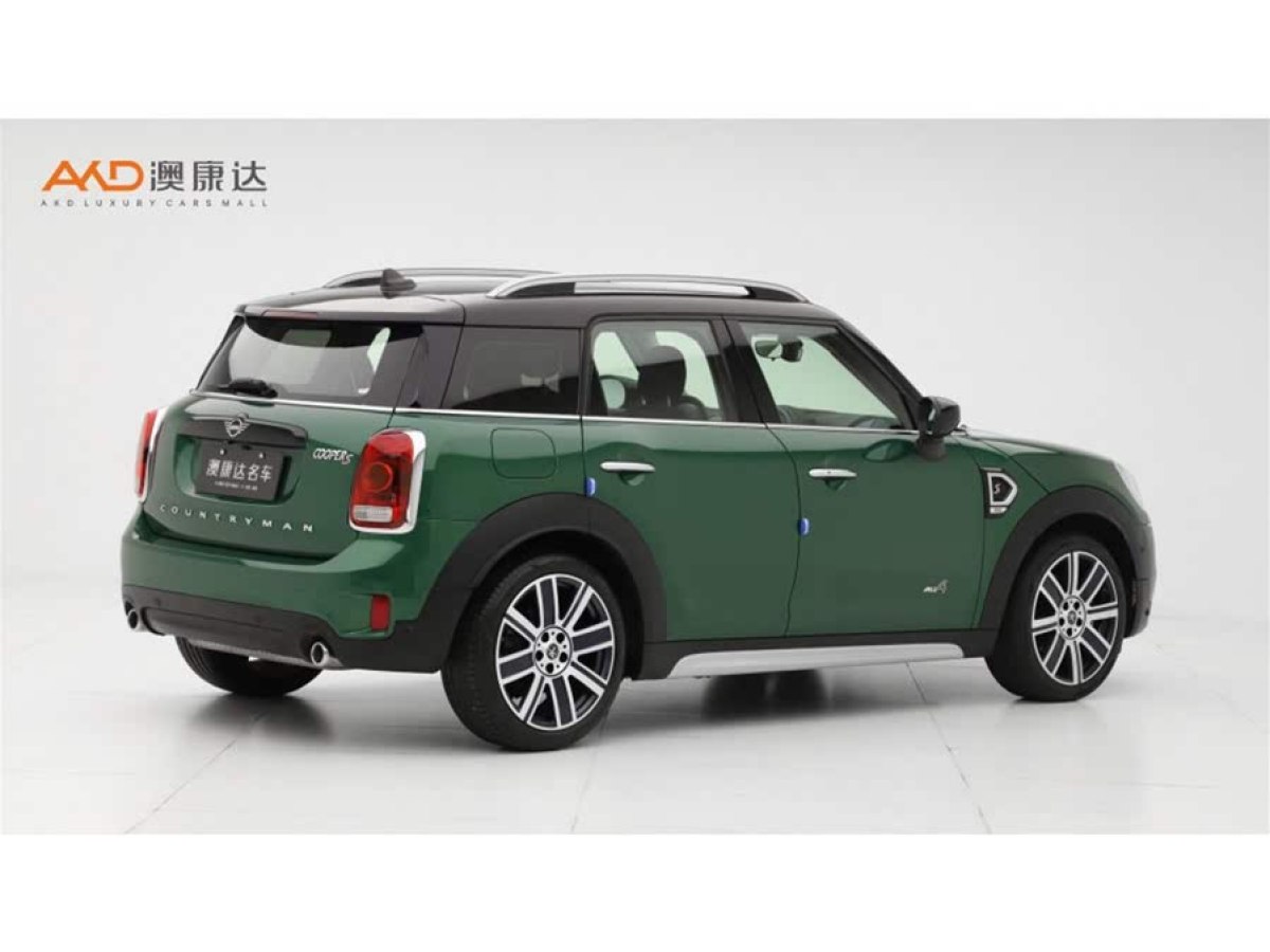 MINI COUNTRYMAN  2019款 2.0T COOPER S ALL4 藝術(shù)家圖片