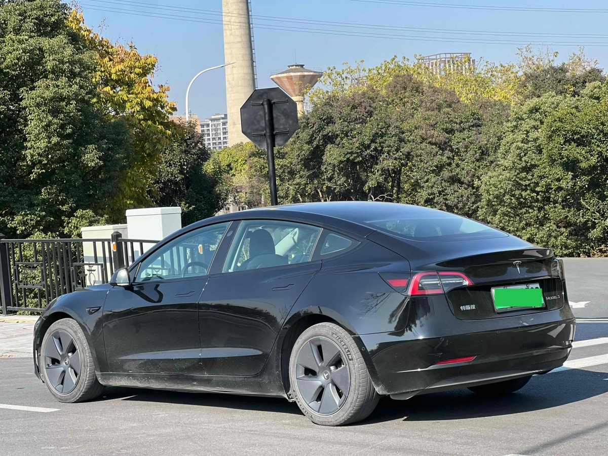 特斯拉 Model 3  2019款 標(biāo)準(zhǔn)續(xù)航后驅(qū)升級版圖片