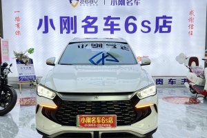 宋Pro新能源 比亚迪 荣耀版 DM-i 110KM卓越型