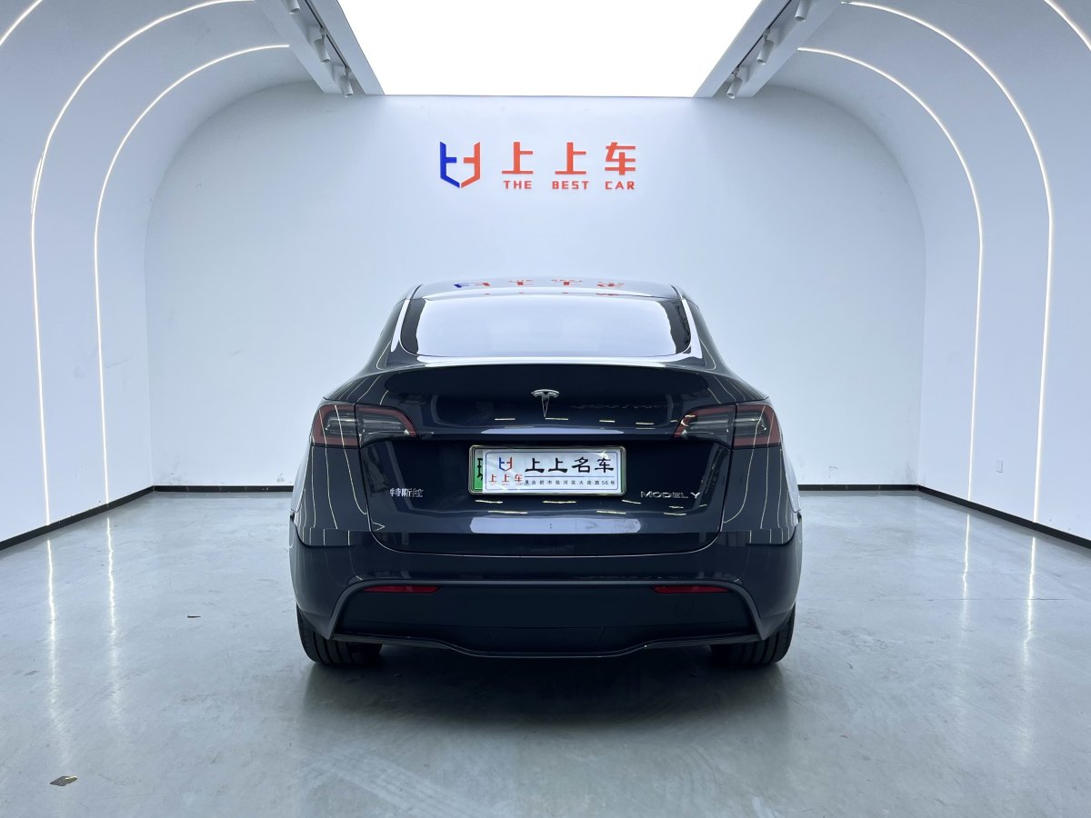 特斯拉 Model 3  2020款 改款 長續(xù)航后輪驅(qū)動(dòng)版圖片