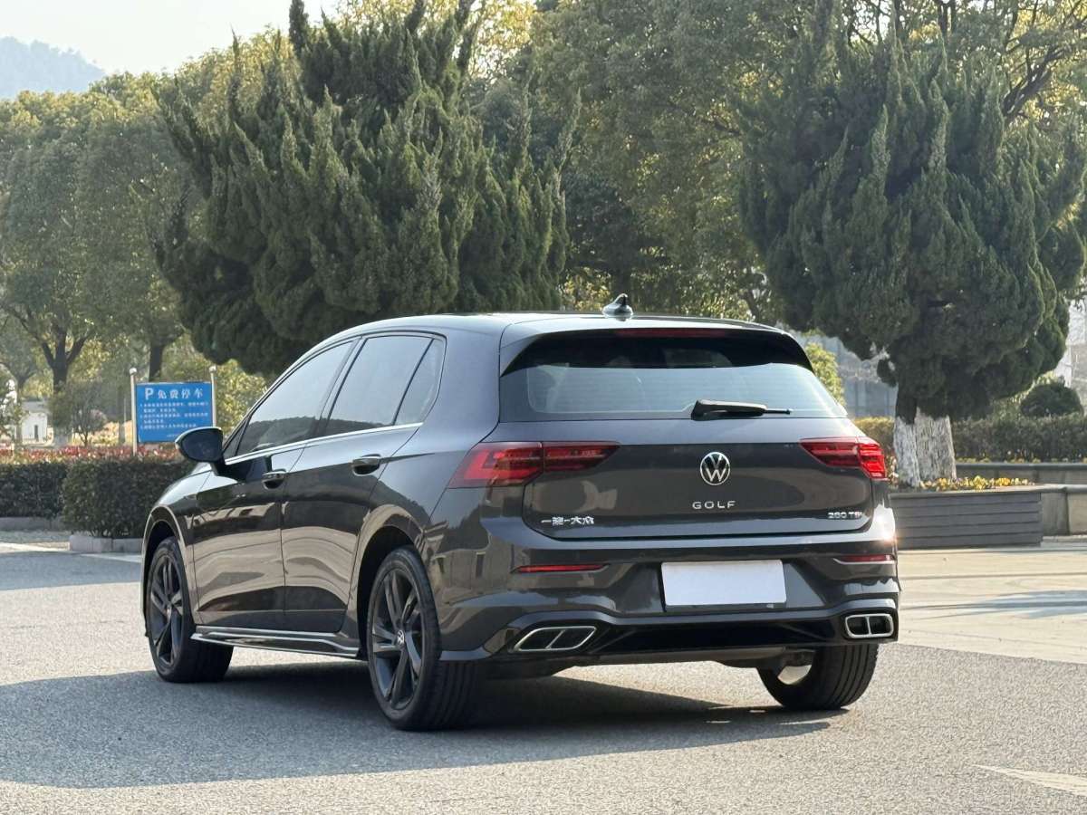 大眾 高爾夫  2021款 280TSI DSG Pro 首發(fā)版圖片