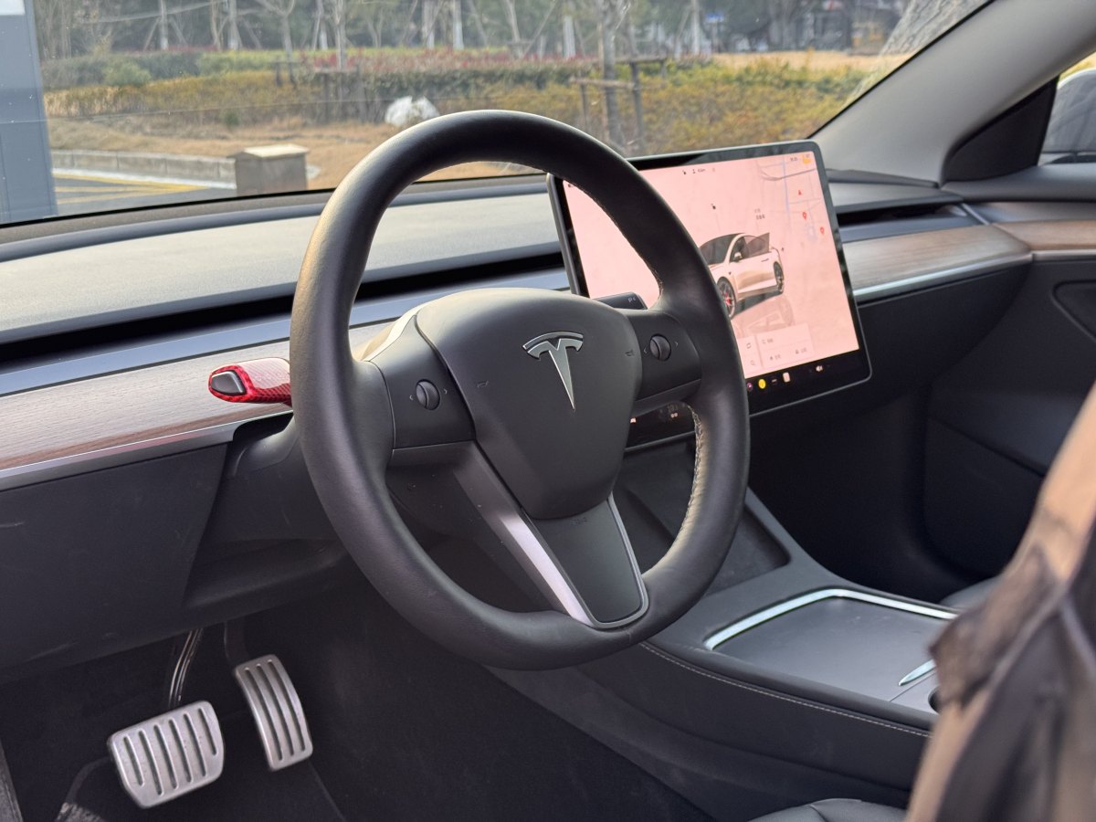 特斯拉 Model 3  2019款 Performance高性能全輪驅(qū)動版圖片