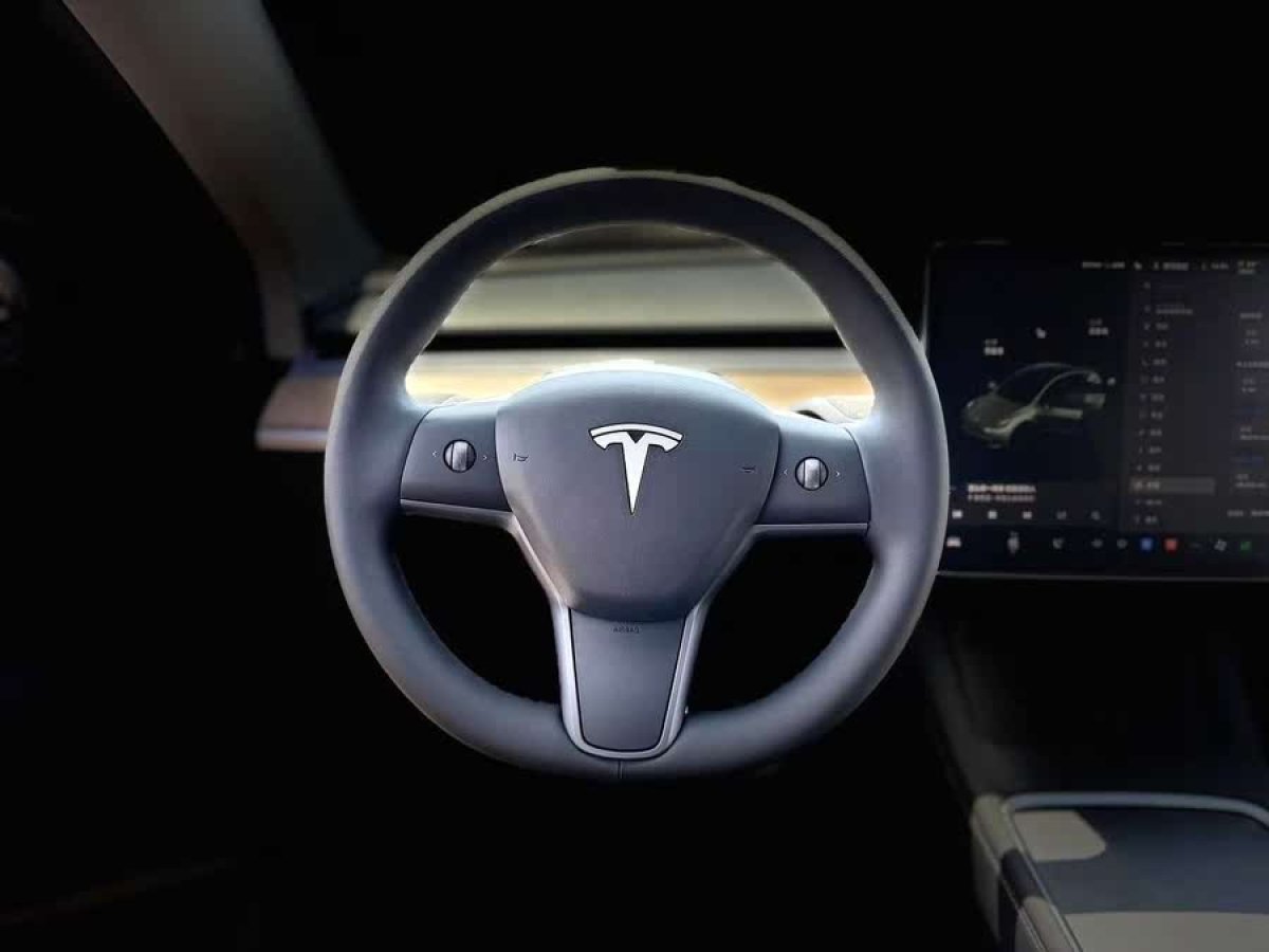 特斯拉 Model Y  2021款 標(biāo)準(zhǔn)續(xù)航后驅(qū)版圖片