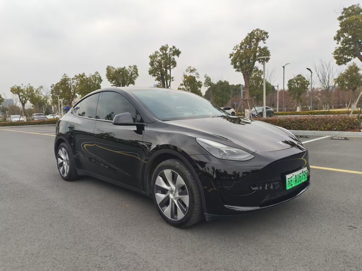 2022年03月特斯拉 Model Y  2022款 后驅(qū)版