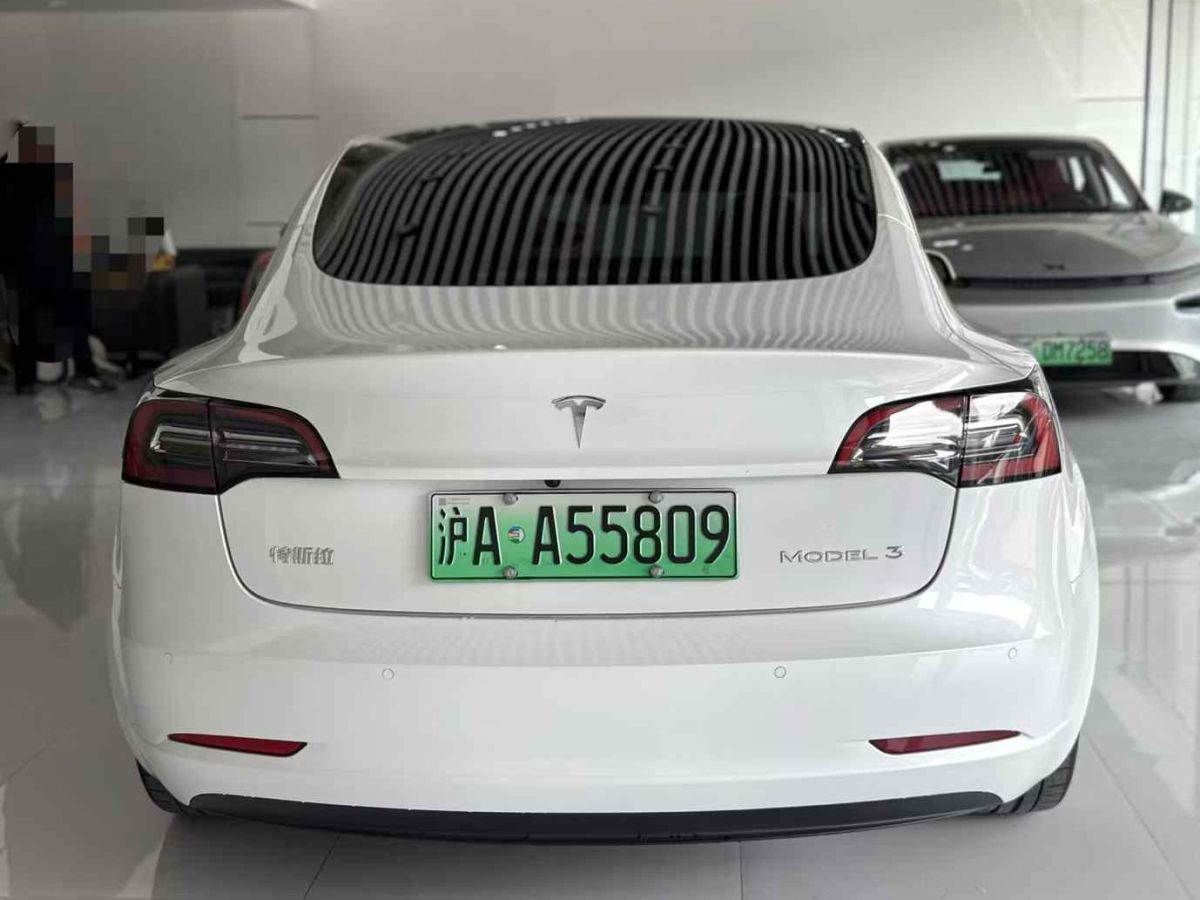 特斯拉 Model S  2021款 Performance 高性能版圖片