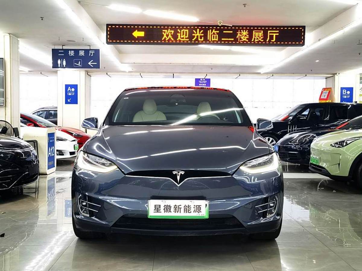 特斯拉 Model X  2020款 長續(xù)航升級(jí)版圖片