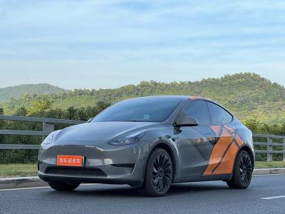 2022年11月 特斯拉 Model Y 改款 長續(xù)航后輪驅動版圖片