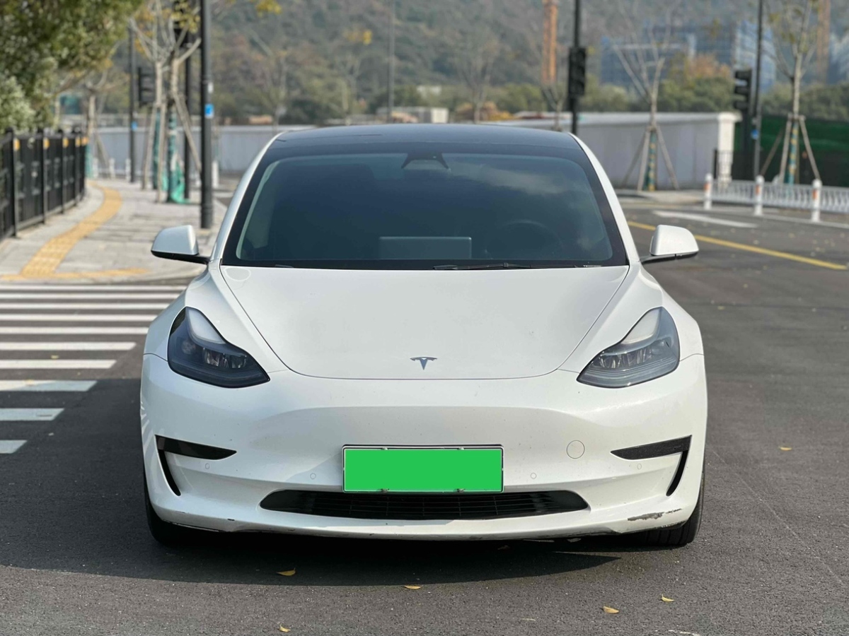 特斯拉 Model 3  2021款 標(biāo)準(zhǔn)續(xù)航后驅(qū)升級版 3D6圖片