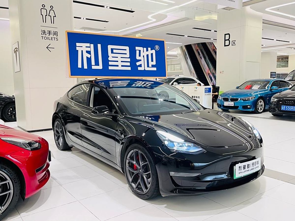 特斯拉 Model 3  2022款 Performance高性能全輪驅(qū)動版圖片