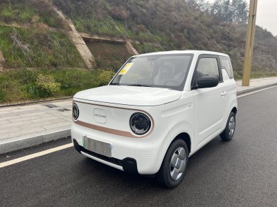 2024年12月 吉利 熊貓mini 200km 耐力熊圖片