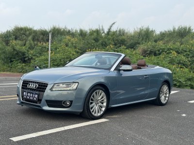 2012年6月 奧迪 奧迪A5(進口) 2.0TFSI Cabriolet圖片