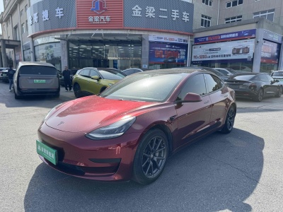 2020年5月 特斯拉 Model 3 標(biāo)準(zhǔn)續(xù)航后驅(qū)升級(jí)版圖片