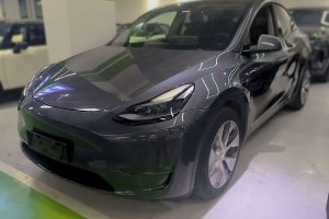 Model Y 特斯拉 標(biāo)準(zhǔn)續(xù)航后驅(qū)版