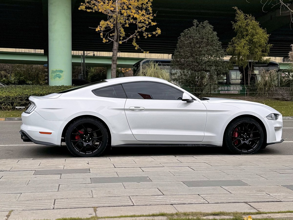 福特 Mustang  2019款 2.3L EcoBoost圖片