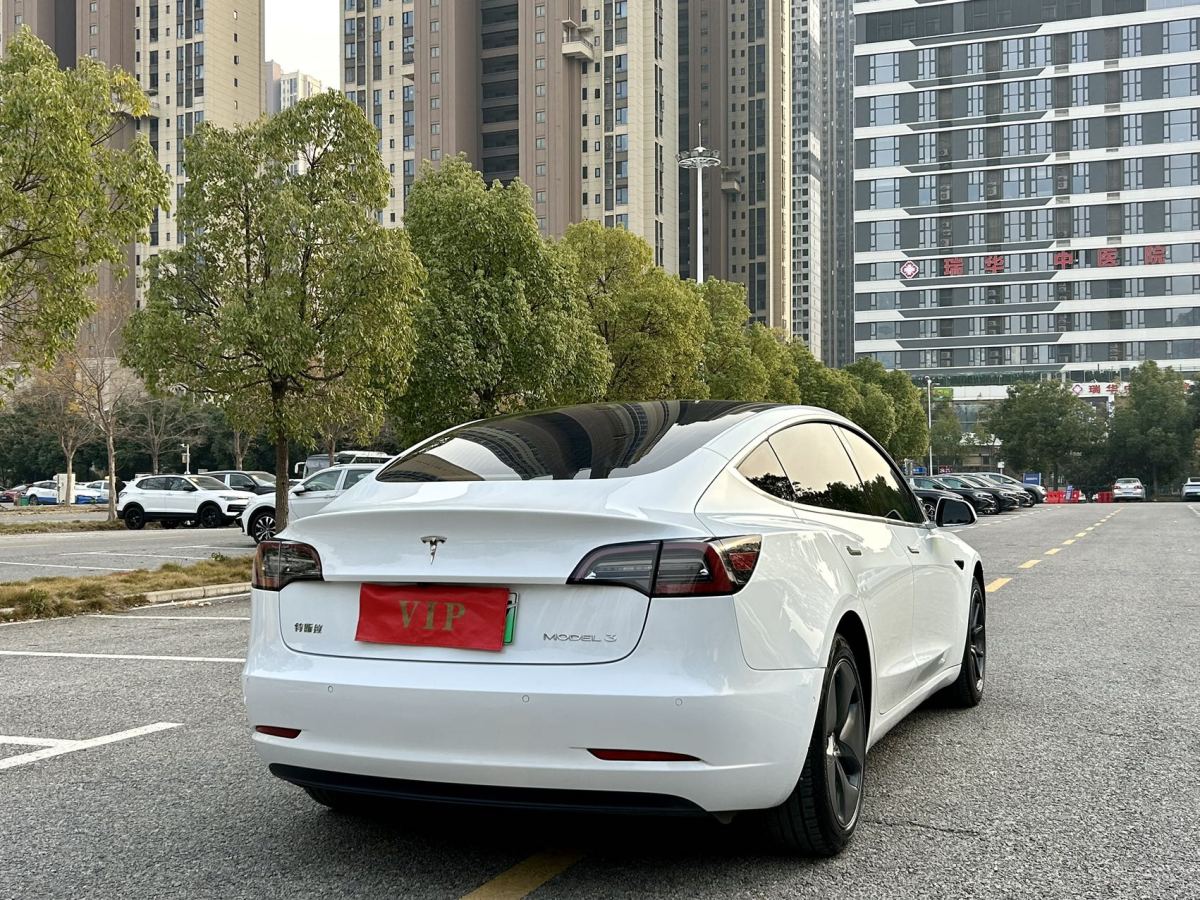 特斯拉 Model 3  2019款 標(biāo)準(zhǔn)續(xù)航后驅(qū)升級(jí)版圖片