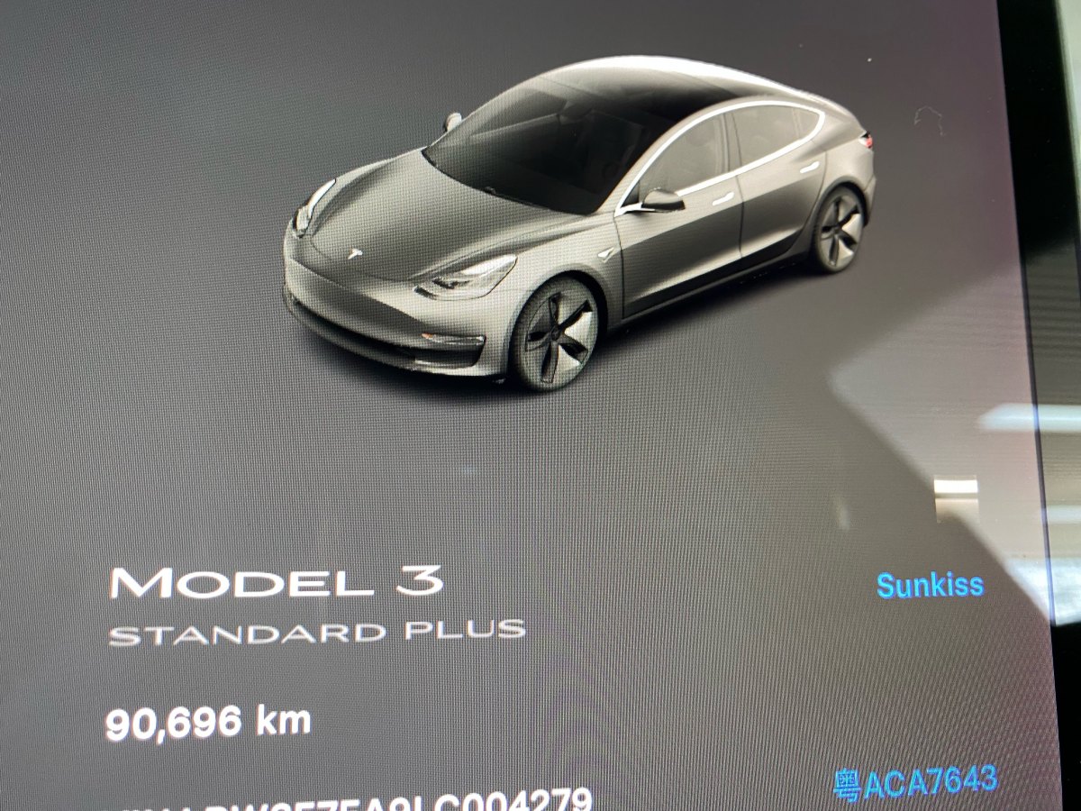 2020年4月特斯拉 Model 3  2019款 標(biāo)準(zhǔn)續(xù)航后驅(qū)升級(jí)版