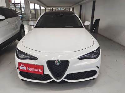 2019年9月 阿爾法·羅密歐 Giulia 2.0T 280HP 豪華運(yùn)動版 碳纖維限量版圖片